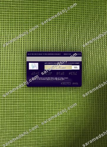 USA RBC Bank visa card photolook back